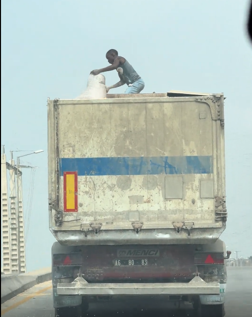 胆子真大，爬车上偷东西
