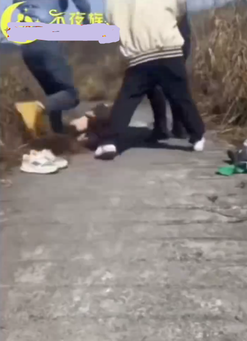 诈骗园区逃跑被抓，往死里打