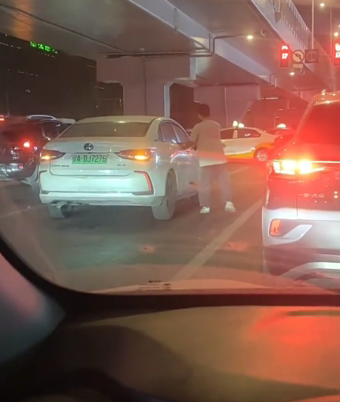 算鸟算鸟都不容易