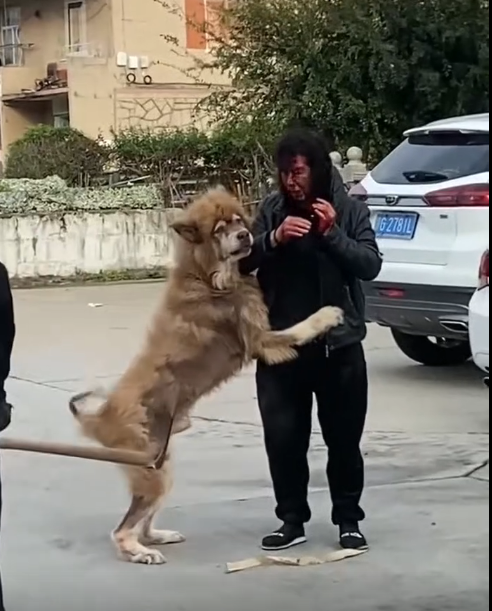 这不是你的儿子吗？别怕