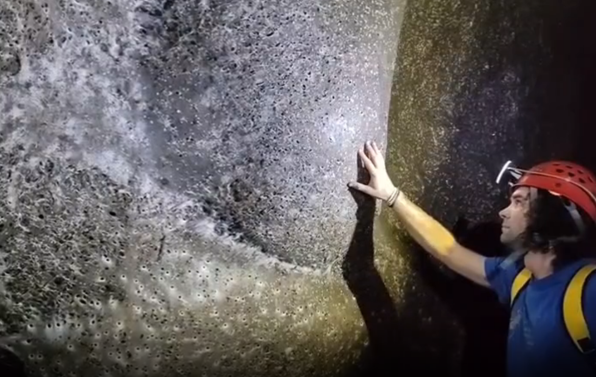 这是进了盘丝洞了啊