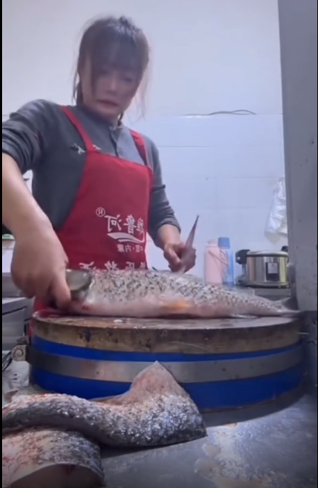 这鱼的命很硬啊