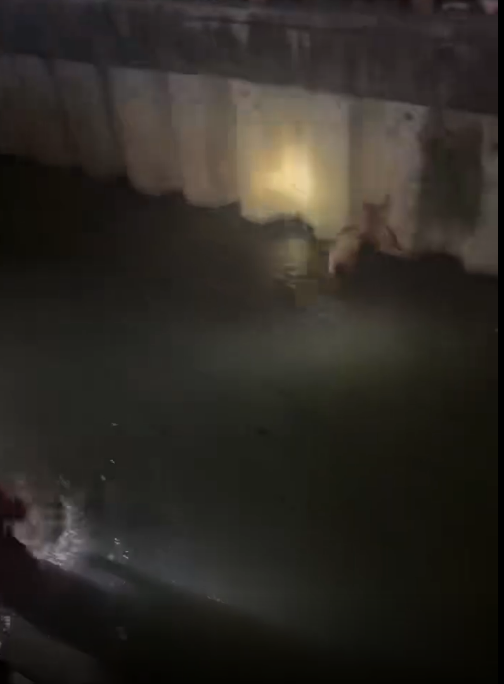 深夜一男子裸体游街是为了什么？