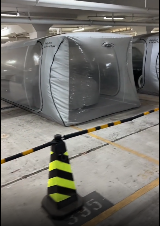 古董车，这一年得多少钱保养