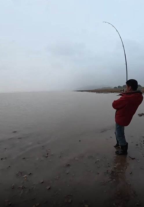 钓到国家一级保护动物中华鲟