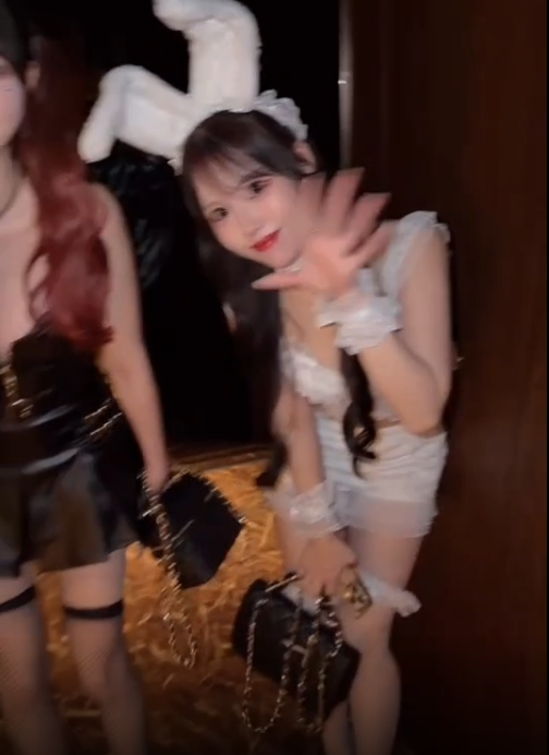 选一个吧，还是全要了