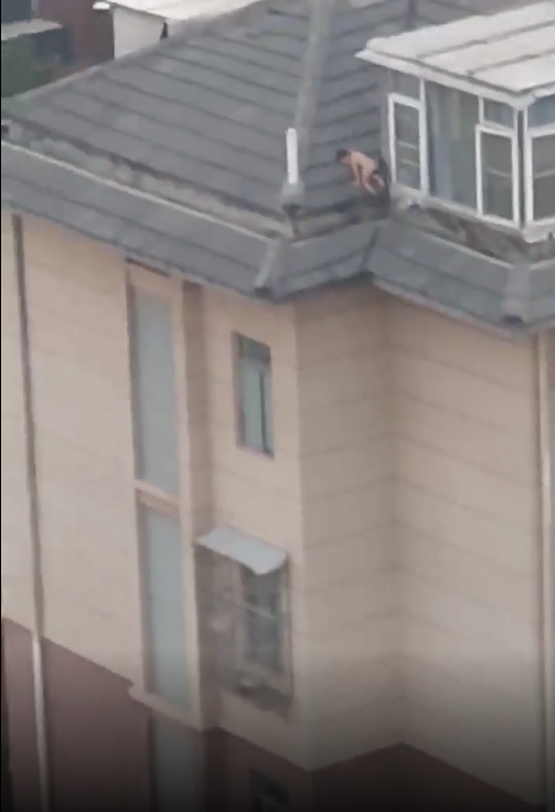 这也太吓人了，一定要看好啊