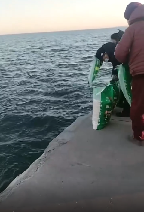 放生大米太奇葩了