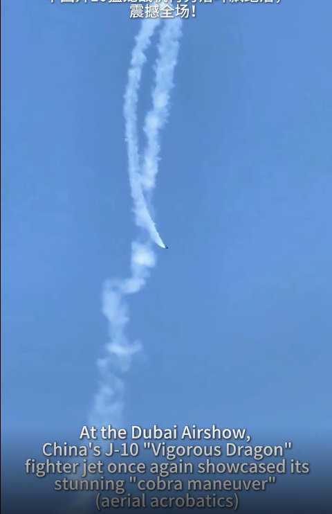中国战机牛逼，表演落叶绝技