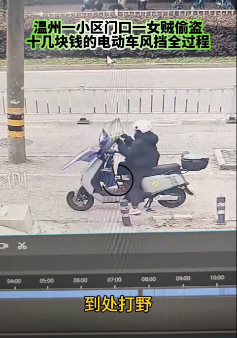要不要脸了，连电动车挡风都偷