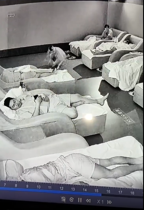 胆子不小，这么多人也敢偷东西