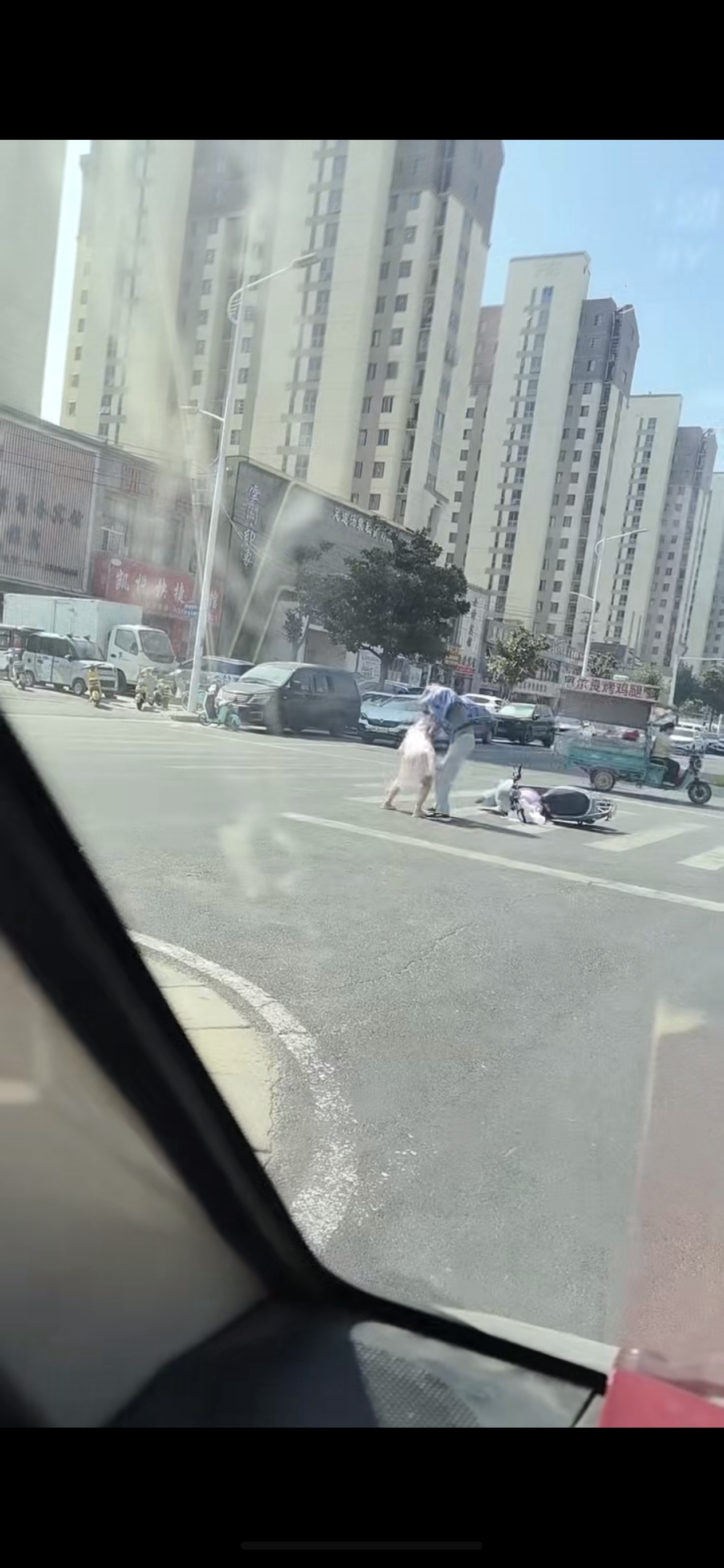 河南郑州，龙凤相争，必有一咬，这是要在大街上表演个&ldquo;生吃大活人&rdquo;嘛[大笑]&middot;