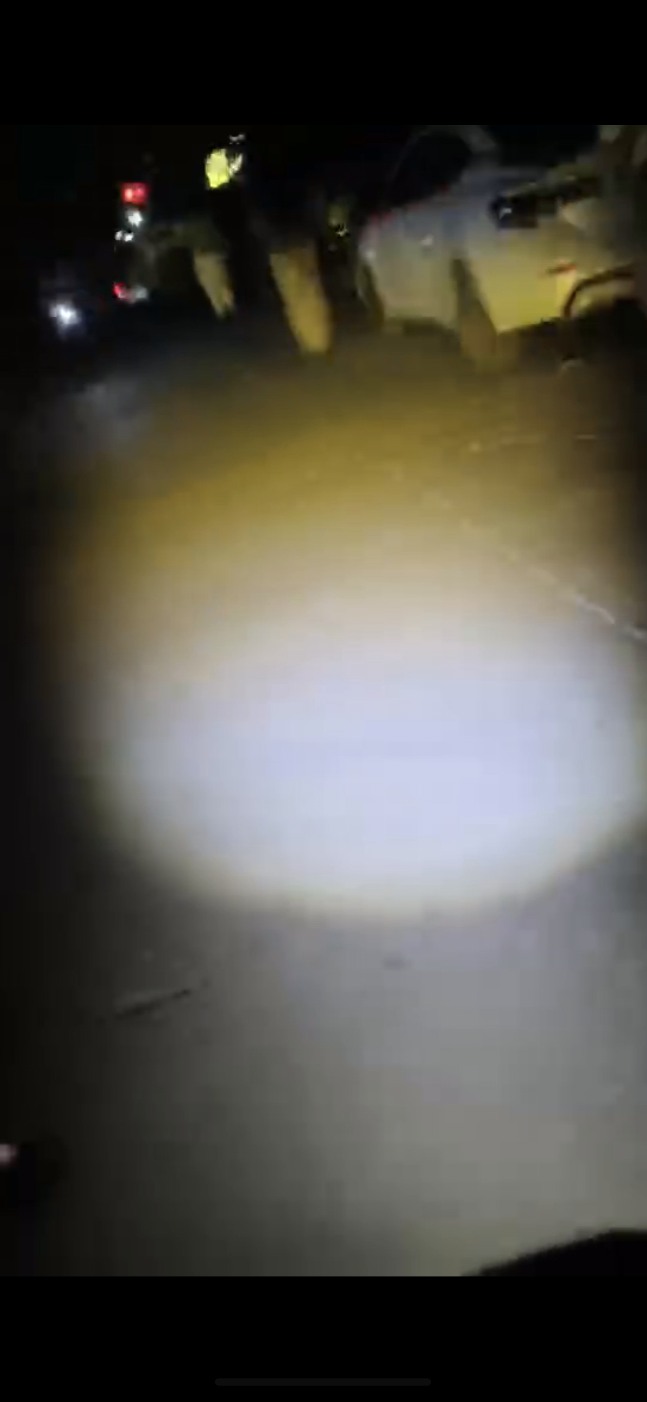 夜闯鸡窝