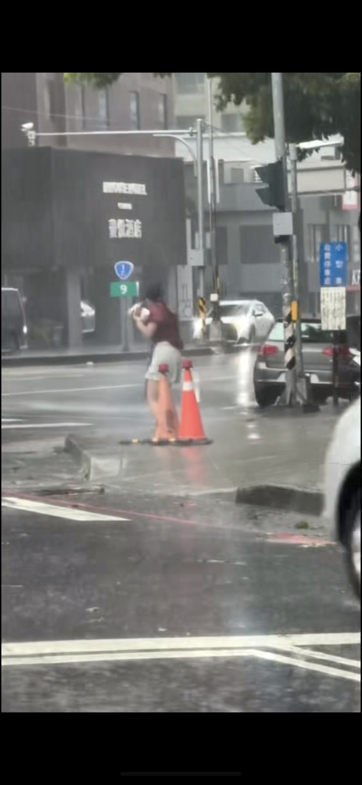 7月11日，一開始只有一個人在雨中瘋。後來就湊成一對了[汗]